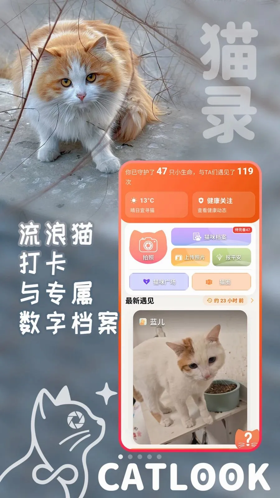 猫录(流浪猫守护平台)v1.1.7 手机版截图2