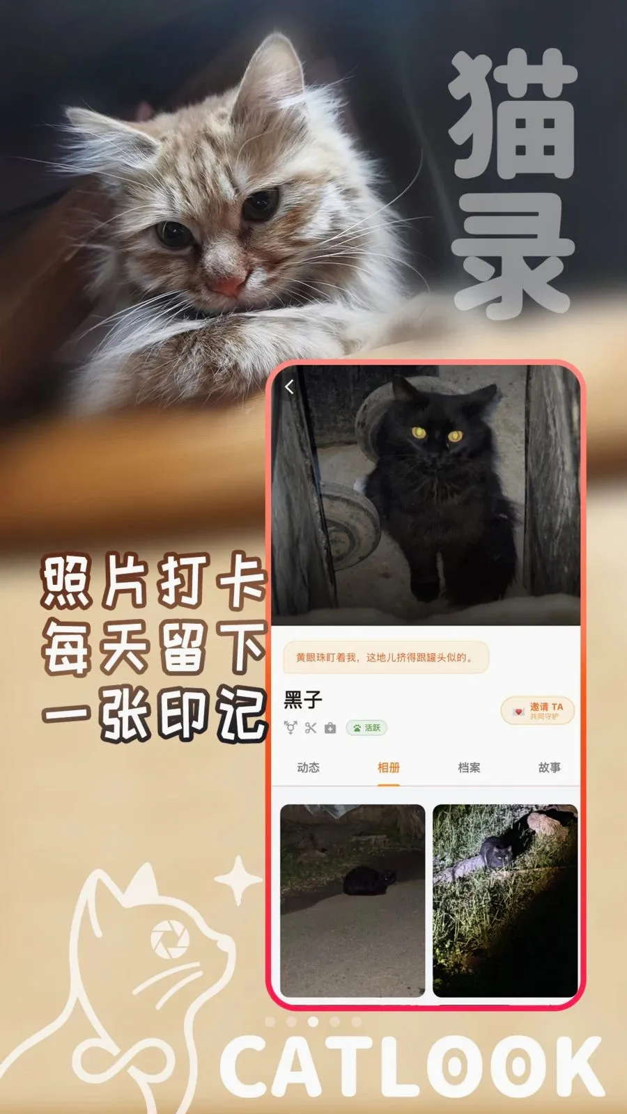 猫录(流浪猫守护平台) 猫录(流浪猫守护平台)