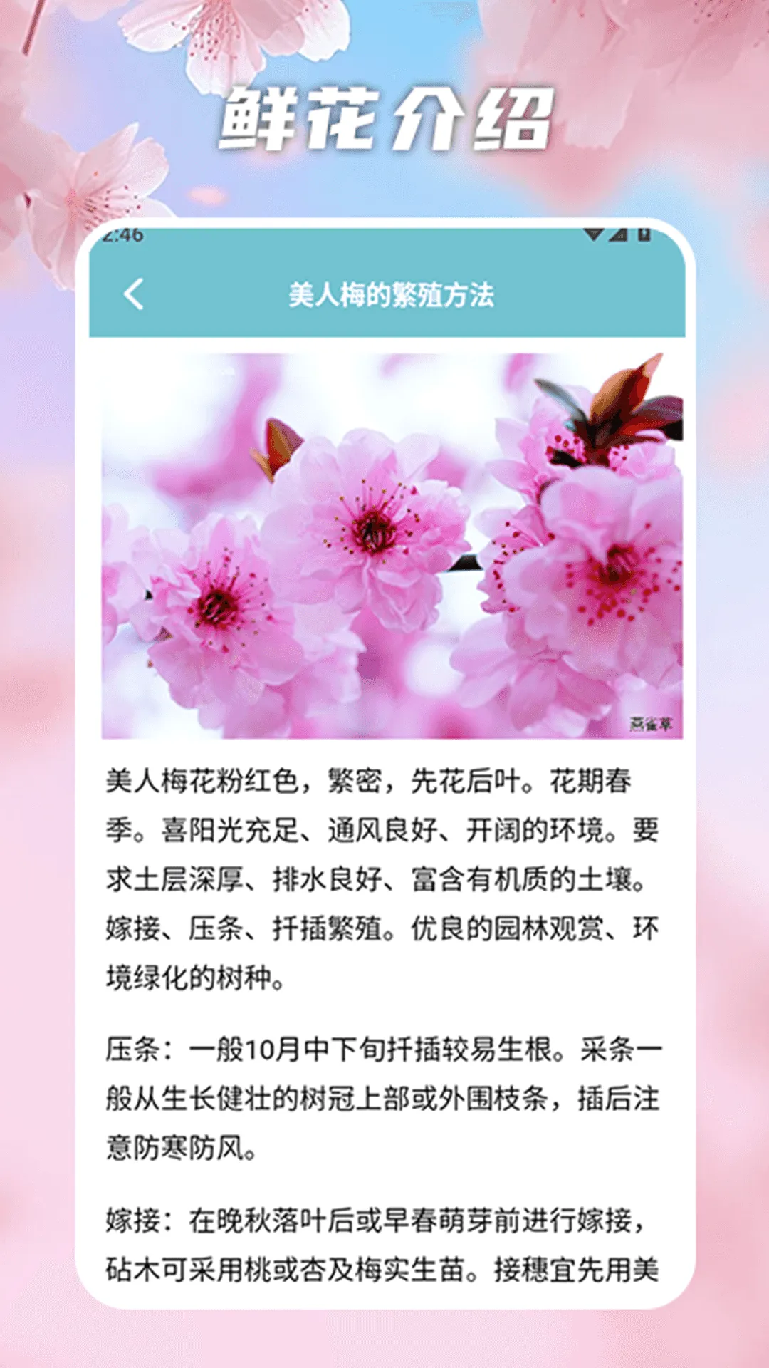 花开物语识别(植物识别app)v2.0 免费版截图3
