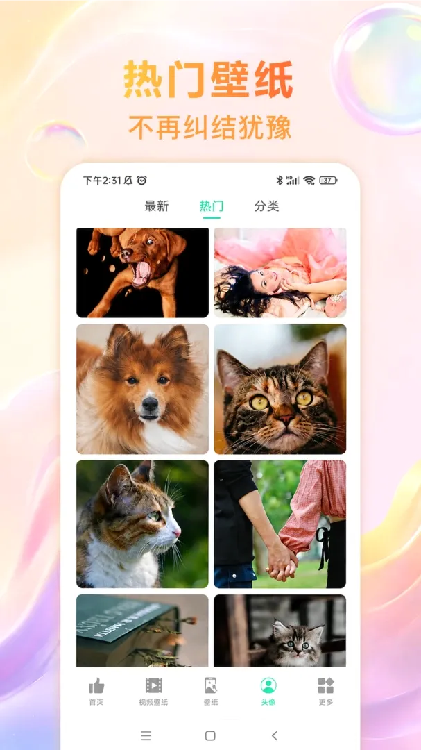 桌面壁纸王2026官方最新版本v1.0.1 安卓版截图3